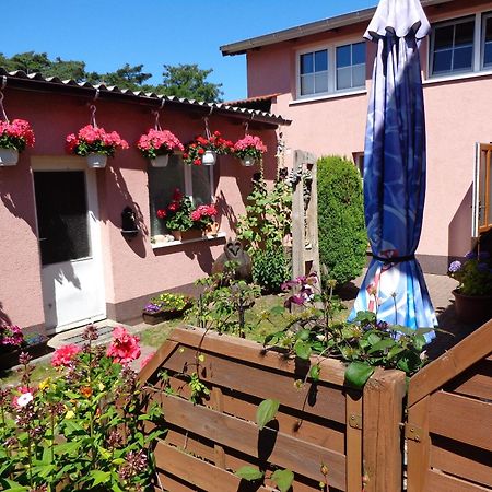 Ferienwohnung Duehne Ostseebad Kühlungsborn Εξωτερικό φωτογραφία